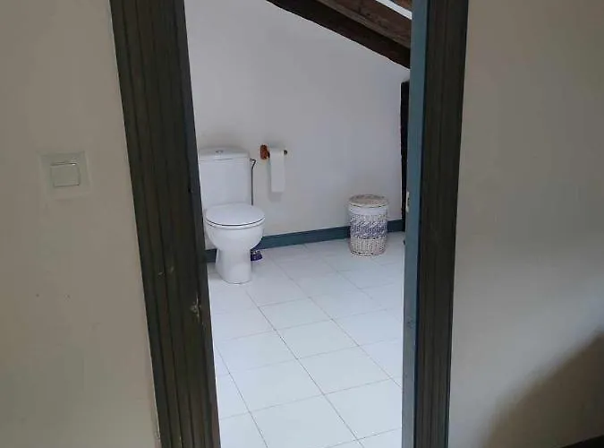 El Amparuco Homestay *